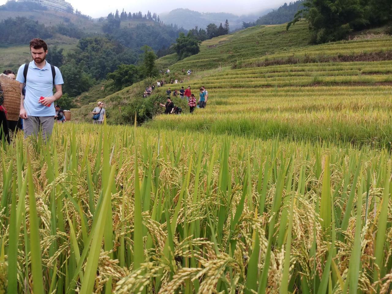 Tuongmai Home & Trekking Tour Sapa Dış mekan fotoğraf